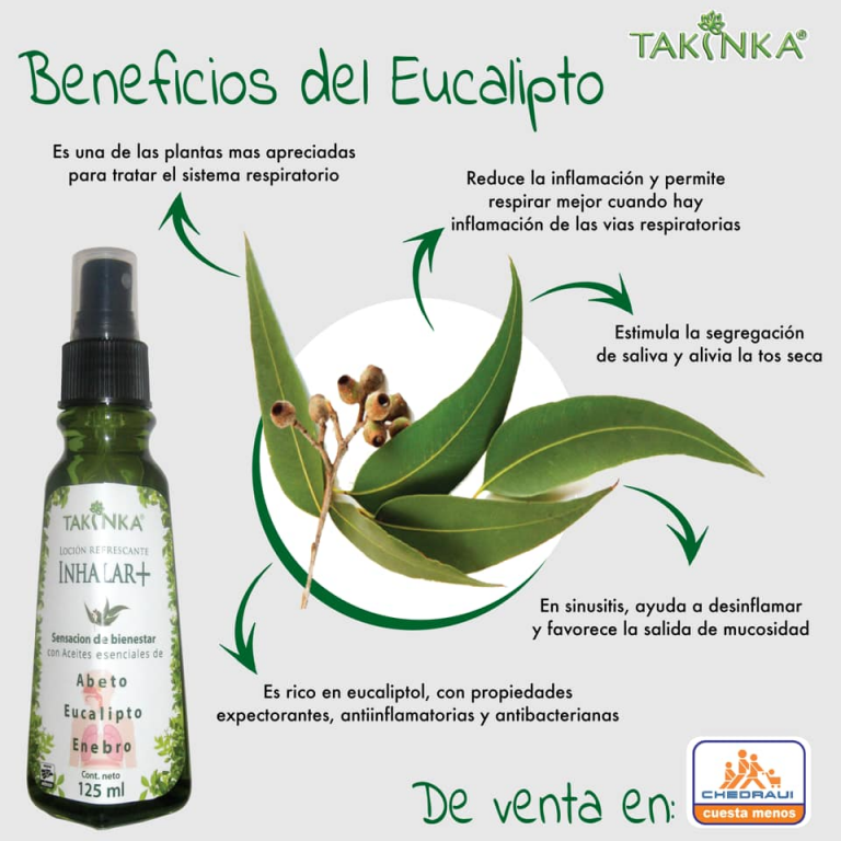 Beneficios del Eucalipto Takinka