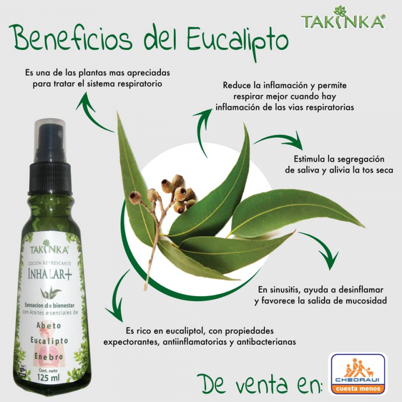 Beneficios Del Eucalipto Takinka 7726